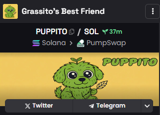 Puppito dex information updated.

CA:6GdPSmT5PtyXE3qiHjgKcEdKVAEEu9xgRsDoqnxpbonk