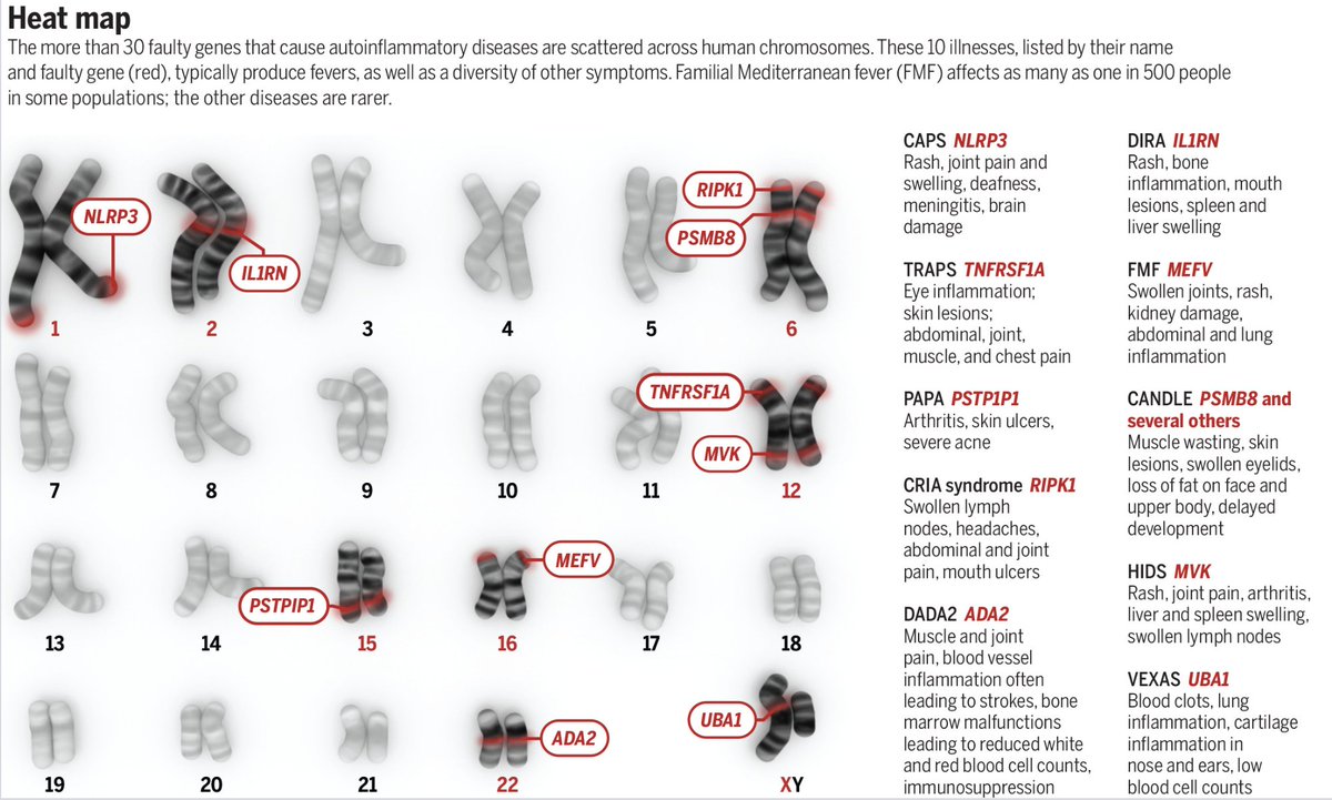 Daniel Kastner's work defined a new category of illnesses—known as autoinflammatory diseases—and has opened the door for life-changing and even lifesaving treatments for the conditions. 

Learn more on #DayOfImmunology: scim.ag/3EISwPk