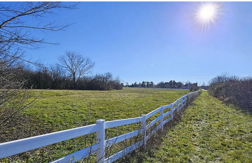 Naperville magazine tweet media