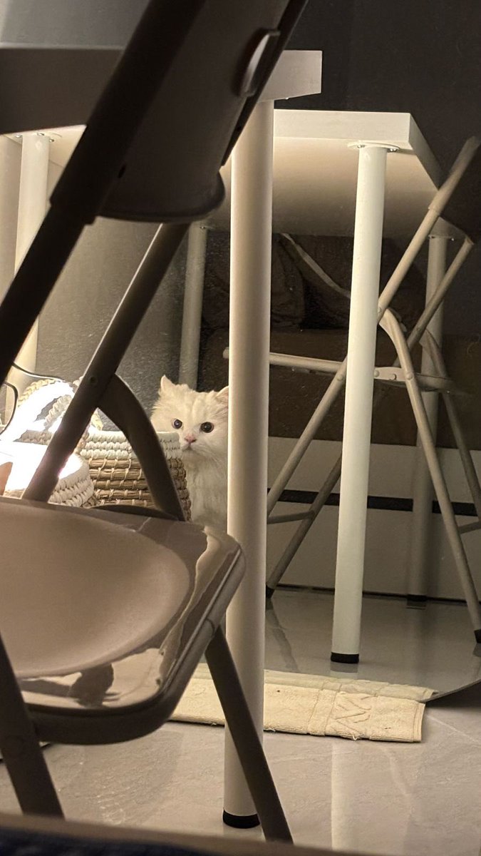 DudutNdut's tweet photo. kadang kalo mau tidur suka ngerasa merinding gitu gasiih? berasa di kolong kasur ada putih2 ngeliatin banget gitu😖😖 https://t.co/4Kqd1zNMqe