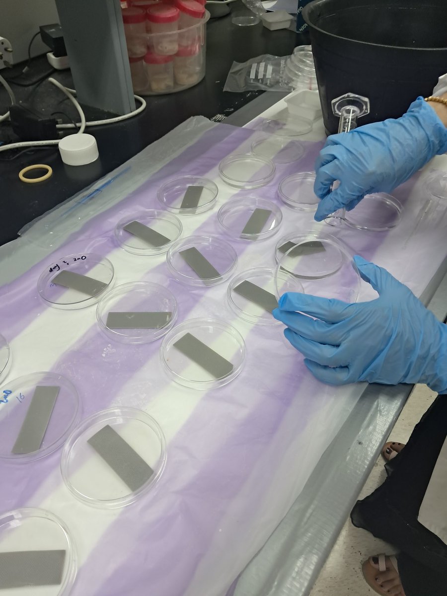 BiofoulingOman's tweet photo. We are testing the toxicity of our antifouling coatings in the laboratory experiments #biofouling #toxicity #nanocoating #SQU https://t.co/Qdp7pTGD41