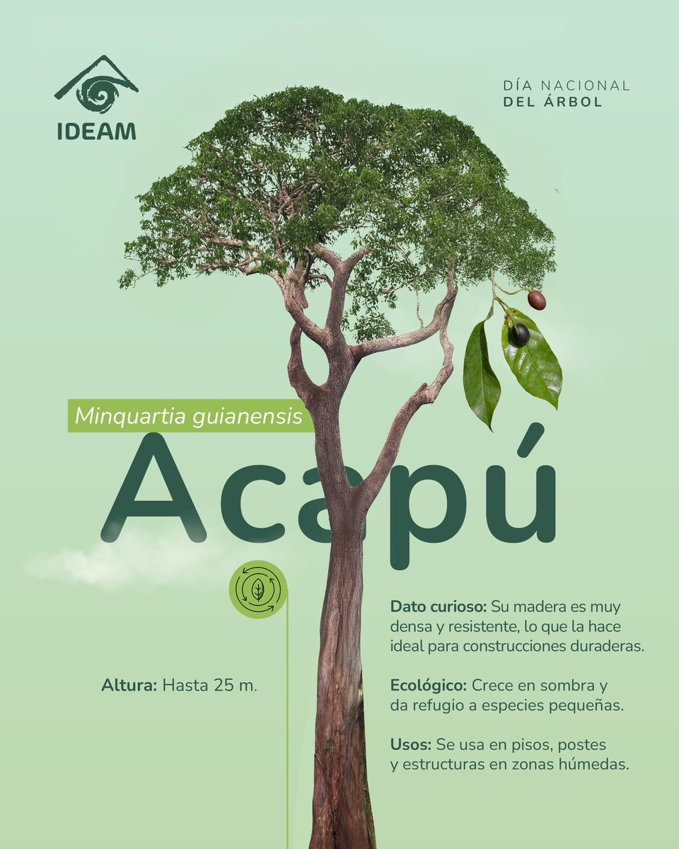 Ideam Colombia tweet media