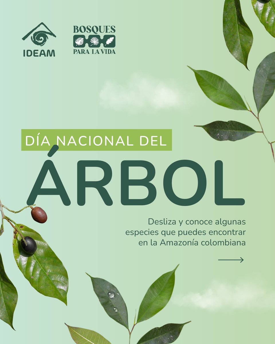 Ideam Colombia tweet media