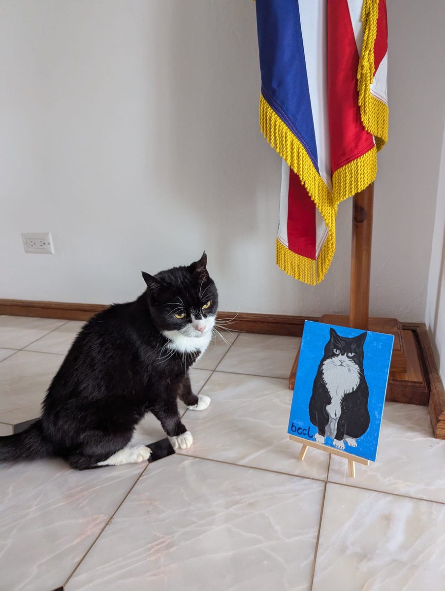 DiploMog's tweet image. My helper, the Governor, visited the amazing Bermuda Centre for Creative Learning (BCCL). He came back with this lovely painting of me. It’s a purrfect likeness….I’m honoured and approve. #BCCL
(BCCL photo courtesy of Akil Simmons at the Royal Gazette)