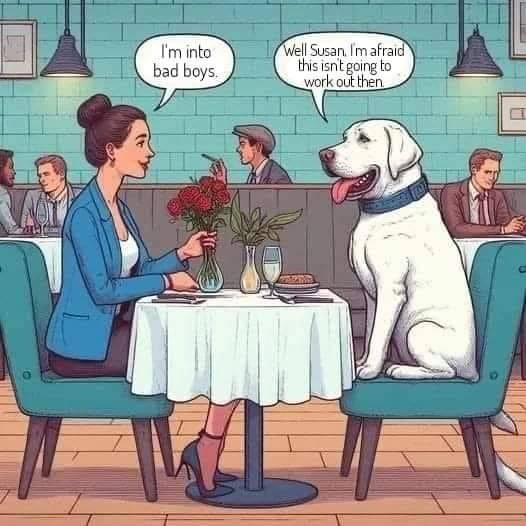 Heckin Good Dogs (@heckingooddogs) on Twitter photo 