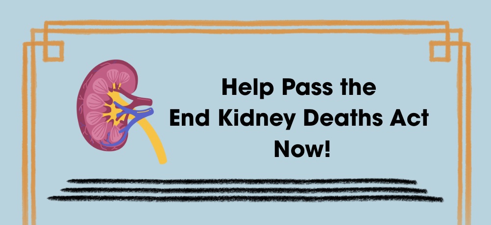 End Kidney Deaths Act (@endkidneydeaths) on Twitter photo <a href="/KKidneys/">Kindness for Kidneys</a> 🚨 Congress is about to pass its only major tax package for the next 2 years.
We have a rare chance to include the End Kidney Deaths Act — a lifesaving, bipartisan bill. 🧡
💡 Why it matters:
✔️ 100,000 lives saved
✔️ $37 billion in taxpayer savings
✔️ More kidney <a href="/KKidneys/">Kindness for Kidneys</a> 🚨 Congress is about to pass its only major tax package for the next 2 years.
We have a rare chance to include the End Kidney Deaths Act — a lifesaving, bipartisan bill. 🧡
💡 Why it matters:
✔️ 100,000 lives saved
✔️ $37 billion in taxpayer savings
✔️ More kidney