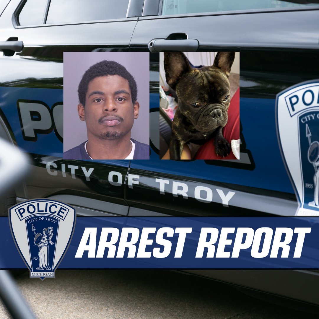 SUSPECT ARRESTED AFTER STOLEN DOG IS SET TO BE SOLD BACK TO OWNER

FULL POST: tinyurl.com/4m72p33u