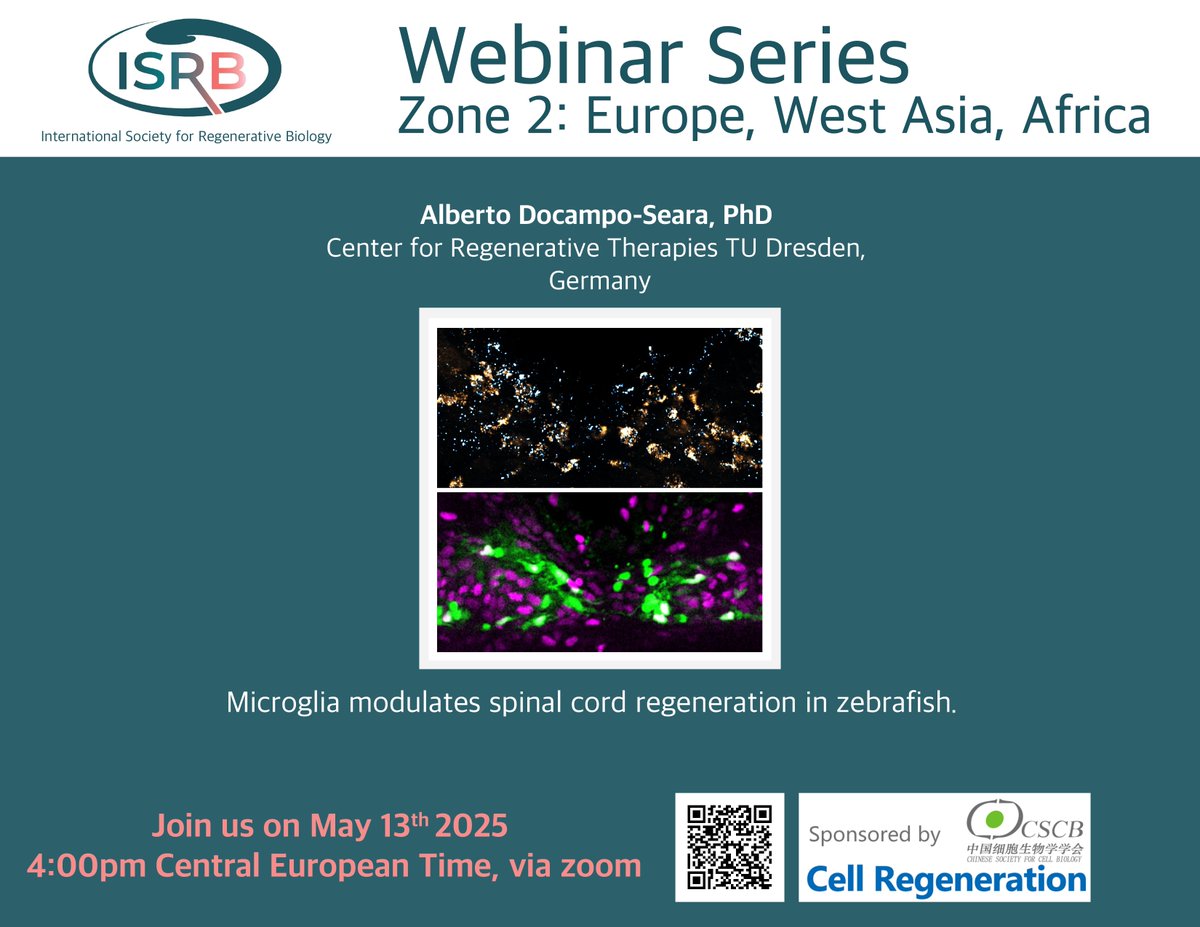 International Society for Regenerative Biology (@isrbio) on Twitter photo 🚨ISRB Webinar Alert - Zone 2: Europe, West Asia, Africa 📷 Join us on May 13th at 4pm Central European Time. Featuring <a href="/AlbertoDseara/">Alberto Docampo Seara</a> <a href="/BeckerLabCRTD/">Becker Lab CRTDresden 😷</a> 🚨ISRB Webinar Alert - Zone 2: Europe, West Asia, Africa 📷 Join us on May 13th at 4pm Central European Time. Featuring <a href="/AlbertoDseara/">Alberto Docampo Seara</a> <a href="/BeckerLabCRTD/">Becker Lab CRTDresden 😷</a>