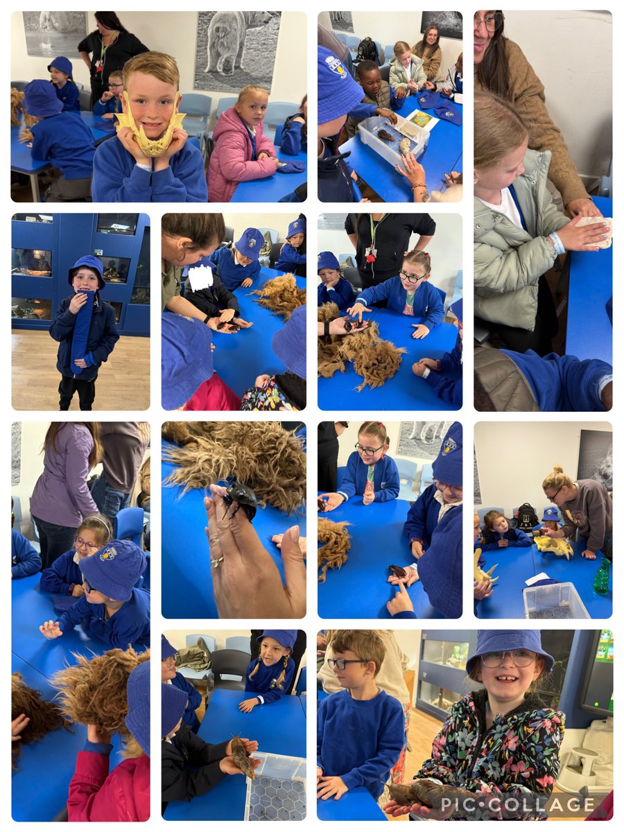 Tornedale Infant Academy (@tornedaleinfant) on Twitter photo Key Stage 1 enjoyed a wonderful visit to <a href="/YorkshireWP/">Yorkshire Wildlife Park 🦁</a> last week. They had so much learning to talk about on their return to school!
#teamtornedale
<a href="/LegerEdTrust/">Leger Education Trust</a> Key Stage 1 enjoyed a wonderful visit to <a href="/YorkshireWP/">Yorkshire Wildlife Park 🦁</a> last week. They had so much learning to talk about on their return to school!
#teamtornedale
<a href="/LegerEdTrust/">Leger Education Trust</a>