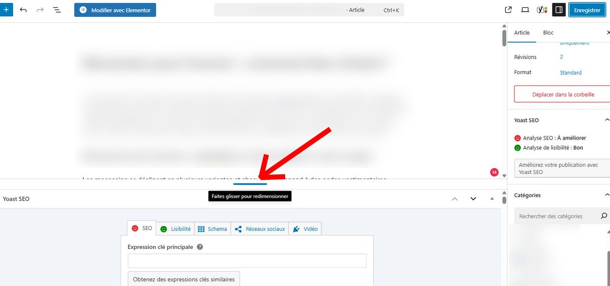 #Wordpress : est-ce que quelqu'un sait comment enlever ce séparateur horrible et revenir comme avant avec un full scroll normal ?