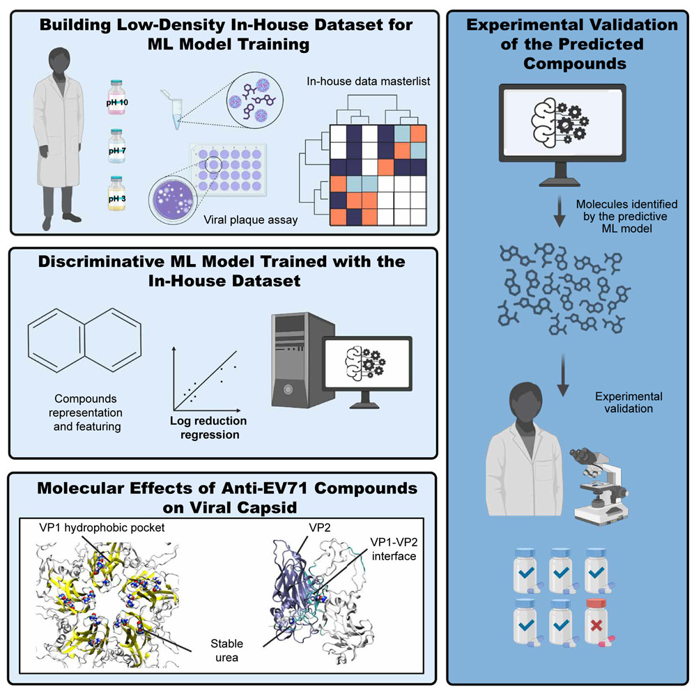 César de la Fuente (@delafuentelab) on Twitter photo Delighted to share our new study in <a href="/CellRepPhysSci/">Cell Reports Physical Science</a> <a href="/CellPressNews/">Cell Press</a>, a glimpse of how intelligent systems can accelerate biology when data are scarce.
With only 36 training molecules, our model proposed 8 inhibitors against enterovirus 71. Bench assays confirmed 5, which is ~10× Delighted to share our new study in <a href="/CellRepPhysSci/">Cell Reports Physical Science</a> <a href="/CellPressNews/">Cell Press</a>, a glimpse of how intelligent systems can accelerate biology when data are scarce.
With only 36 training molecules, our model proposed 8 inhibitors against enterovirus 71. Bench assays confirmed 5, which is ~10×