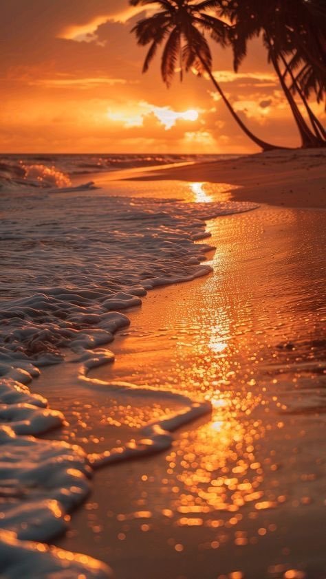 Aesthetics (@aestheticspost_) on Twitter photo 