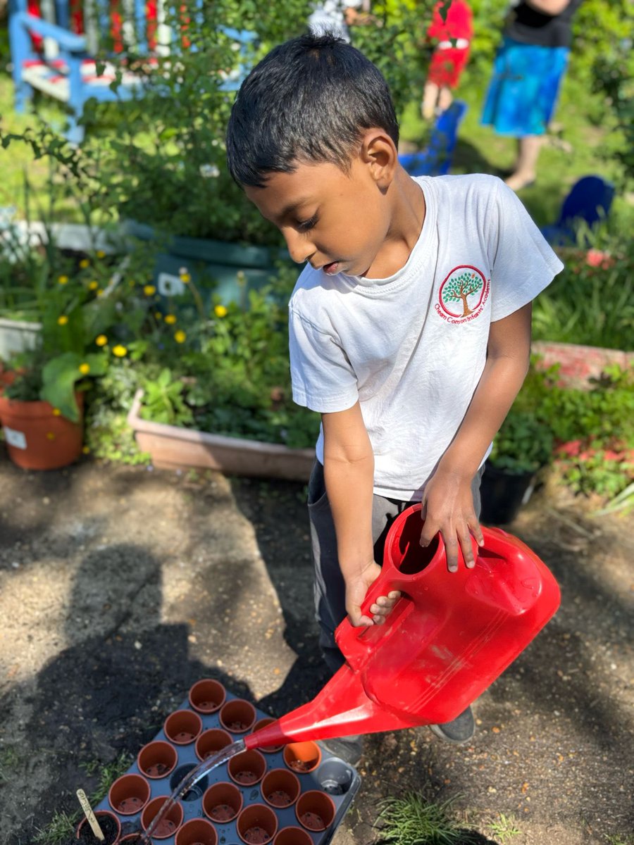 LEOforestschool's tweet image. Reception @CCIacademy have been spotting signs of spring at Forest School—blossoms, sunshine & new life! We’ve planted beans, peas & radishes and can’t wait to watch them grow!
#ForestSchool #SpringLearning #EYFS #OutdoorLearning 🌱☀️🌸