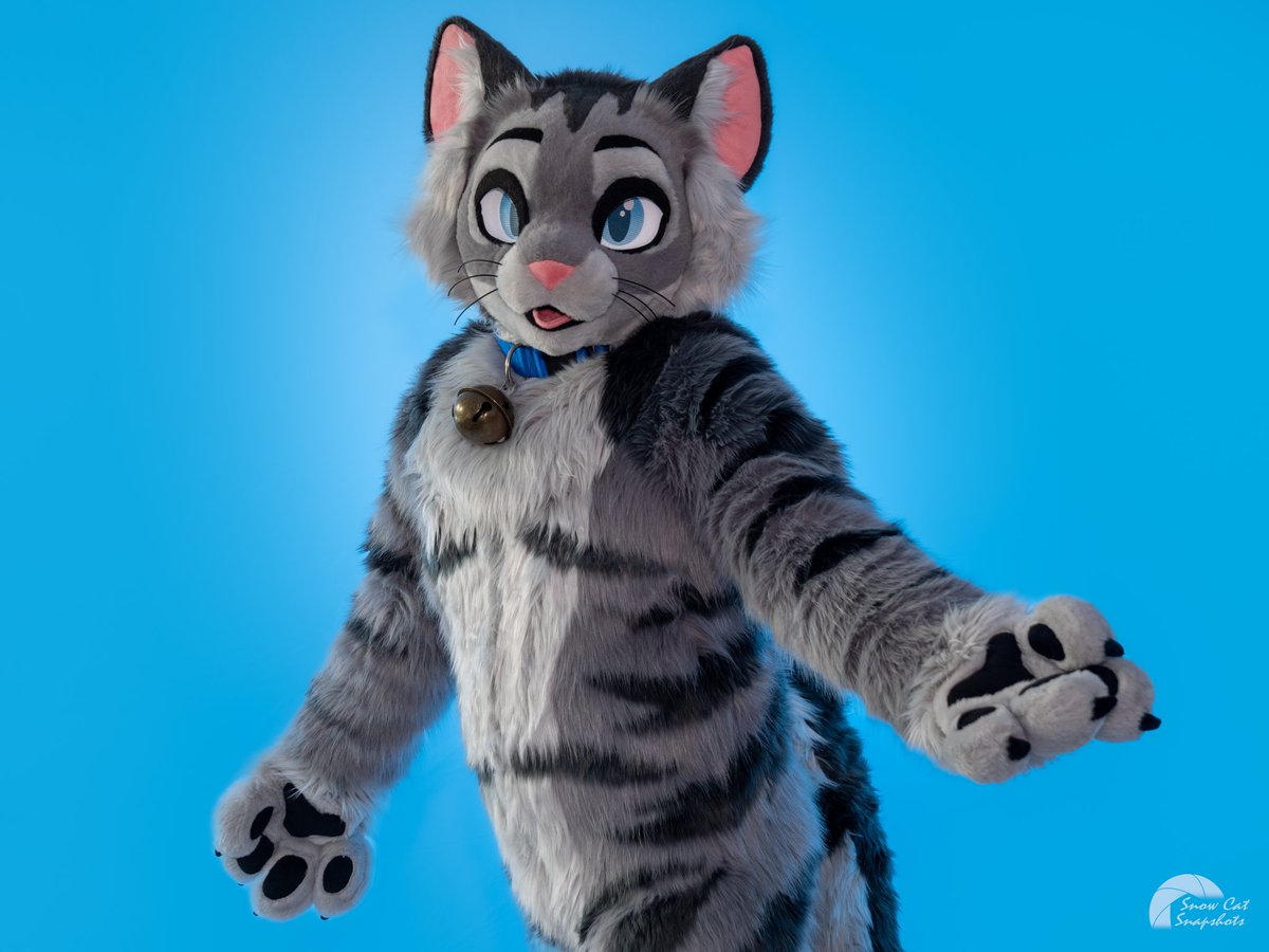 New Year, 
New Whiskers!
🧵: <a href="/ScarletWingsFS/">Scarlet Wings Fursuits</a>
📷: <a href="/HeliosSnowCat/">Helios</a>