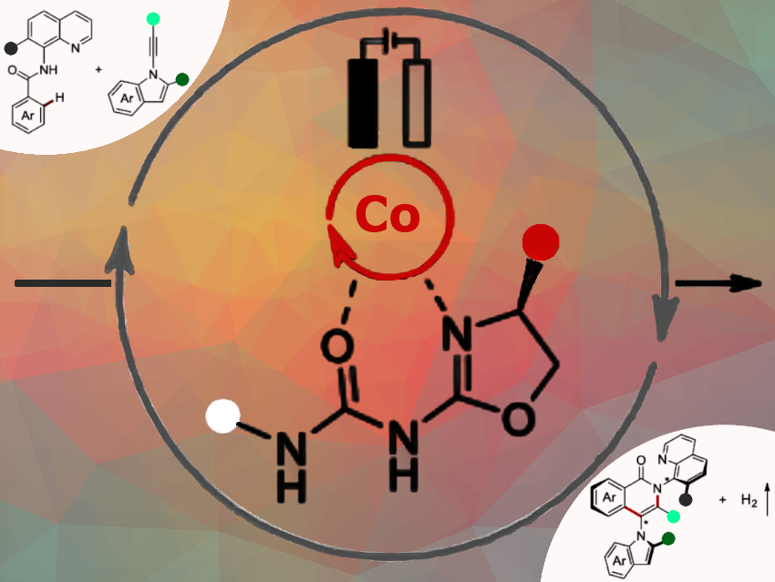ChemistryViews's tweet photo. Lutz Ackermann and colleagues have introduced a new class of chiral oxazoline ureas as κ²-N,O-preligands for enantioselective transition metal catalysis  https://t.co/aCY7BivTvT https://t.co/OWbgZhz99U