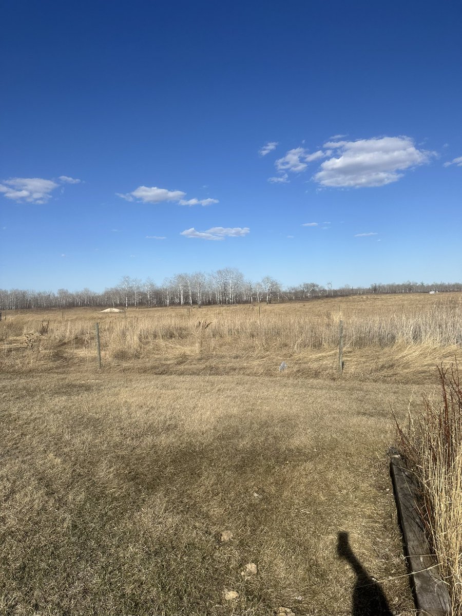 heyumarr's tweet image. Hometown Real Estate offers only  $4200 per month #rent Uncover rural paradise on 1596 acres of lush pasture with mixed trees scattered throughout. 
$2100 for house and $2100 for paustuer. Short Commute to #Ashern, MB! #canada #usa #manitoba