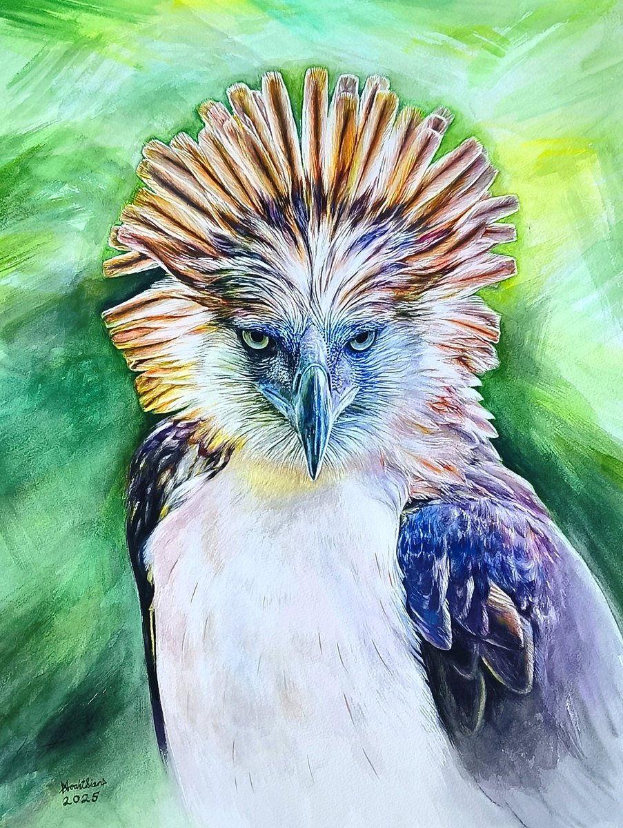 GM Everyone ☀️☕ 

" Haring Ibon " ( Philippine Eagle ) 🦅
Freehand Watercolor Painting 2025
#art #watercolor #watercolorpainting #drawing #sketch #thephilippineeagle #artwork #painting #eagle