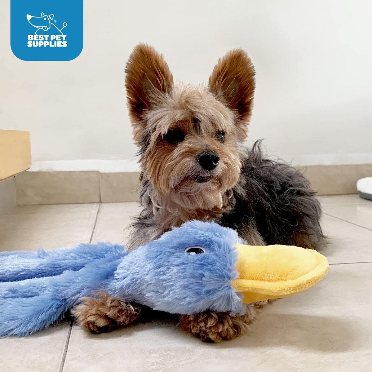 LabibTech2790's tweet image. Cool Crinkle Dog Toy for Small Pets
Visit Now Amazon=amzn.to/4iJr7L7
Looking for a fun toy for your small pet? The Best Pet Supplies Crinkle Dog Toy is perfect! It makes a crinkling sound that dogs love, keeping them entertained for hours.