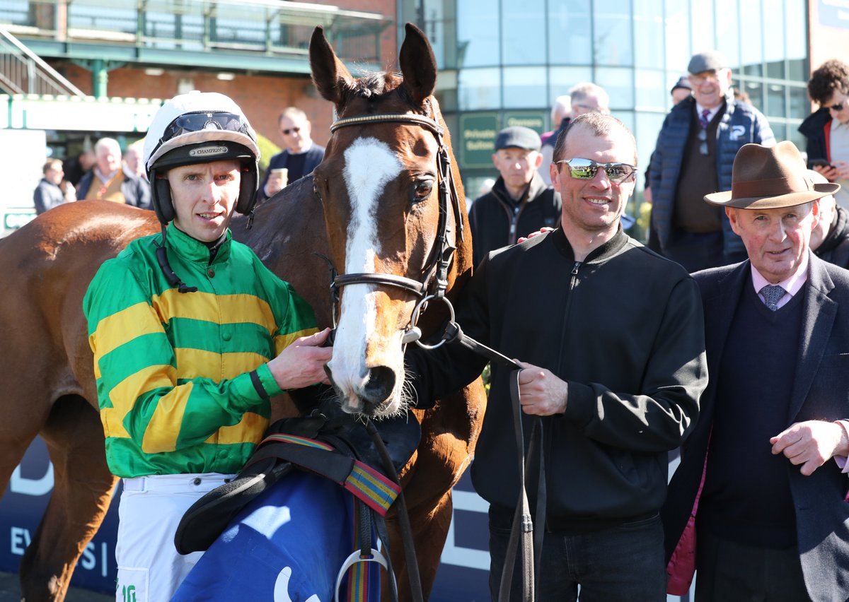 Irancy stuns his rivals to land Grade 1 honours in the KPMG Champion Novice Hurdle at Punchestown. 

The son of Saddex was bred by Guy Cherel out of the Assessor mare Nassora, making him a half-brother to fellow Graded winner Darasso.