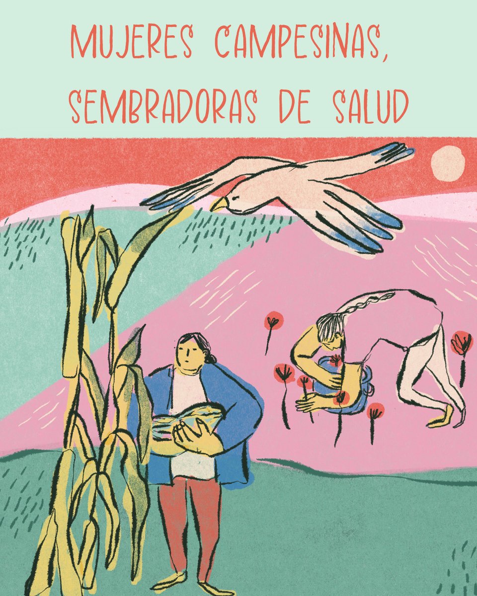 En Jalisco, ellas están sembrando maíz, libre de agroquímicos. 🌽✨
De la mano de la Escuela para Defensoras Benita Galeana, están regenerando sus suelos, cuidando su salud y construyendo una vida más sana pa/sus familias. Conocelas en #UtopíasPosibles
👉🏾 semillas.org.mx/informeanual20…