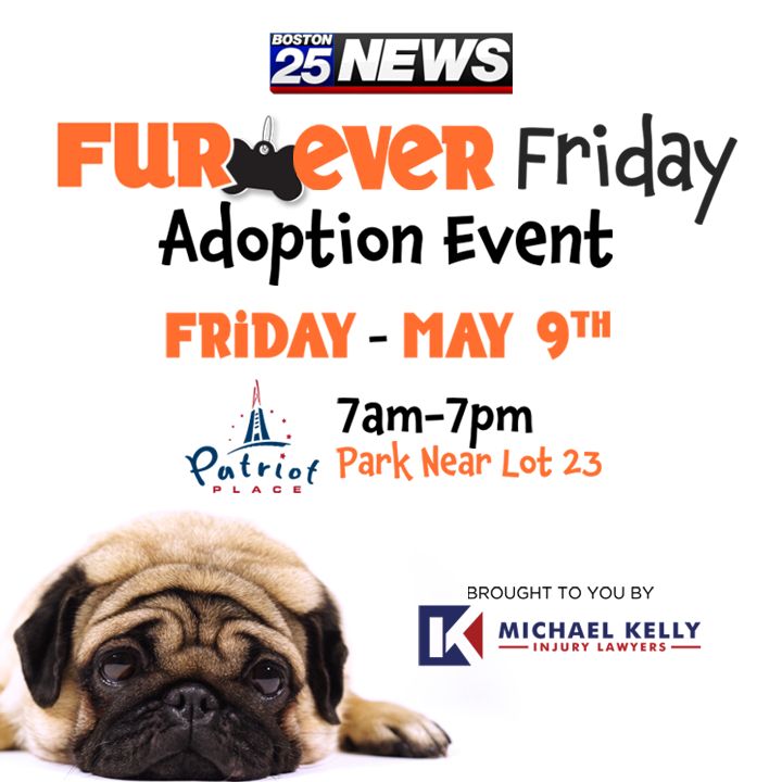 It’s almost time to meet your furever friend! Join Boston 25 News at our Furever Friday Pet Adoption Event on Friday, May 9. We’ll be at Patriot Place from 7 a.m. to 7 p.m. along with local shelters and many adoptable pets!🐾

<a href="/RayVilleda/">Ray Villeda</a>
<a href="/mkinjurylawyers/">Michael Kelly Injury Lawyers</a>