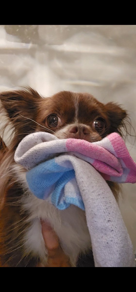 Idk do u think she likes socks?