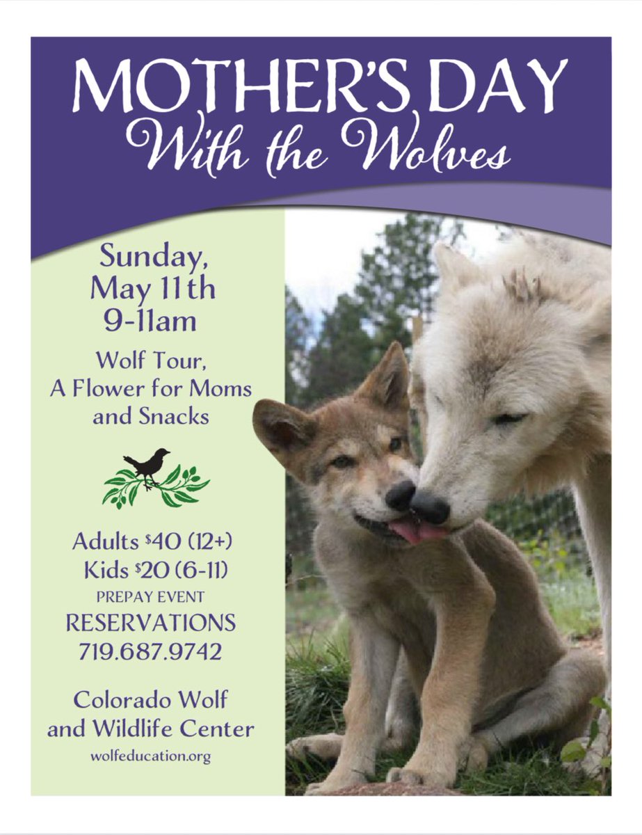 SamanthasLaw's tweet image. #CWWC 
wolfeducation.org/_files/ugd/35f…