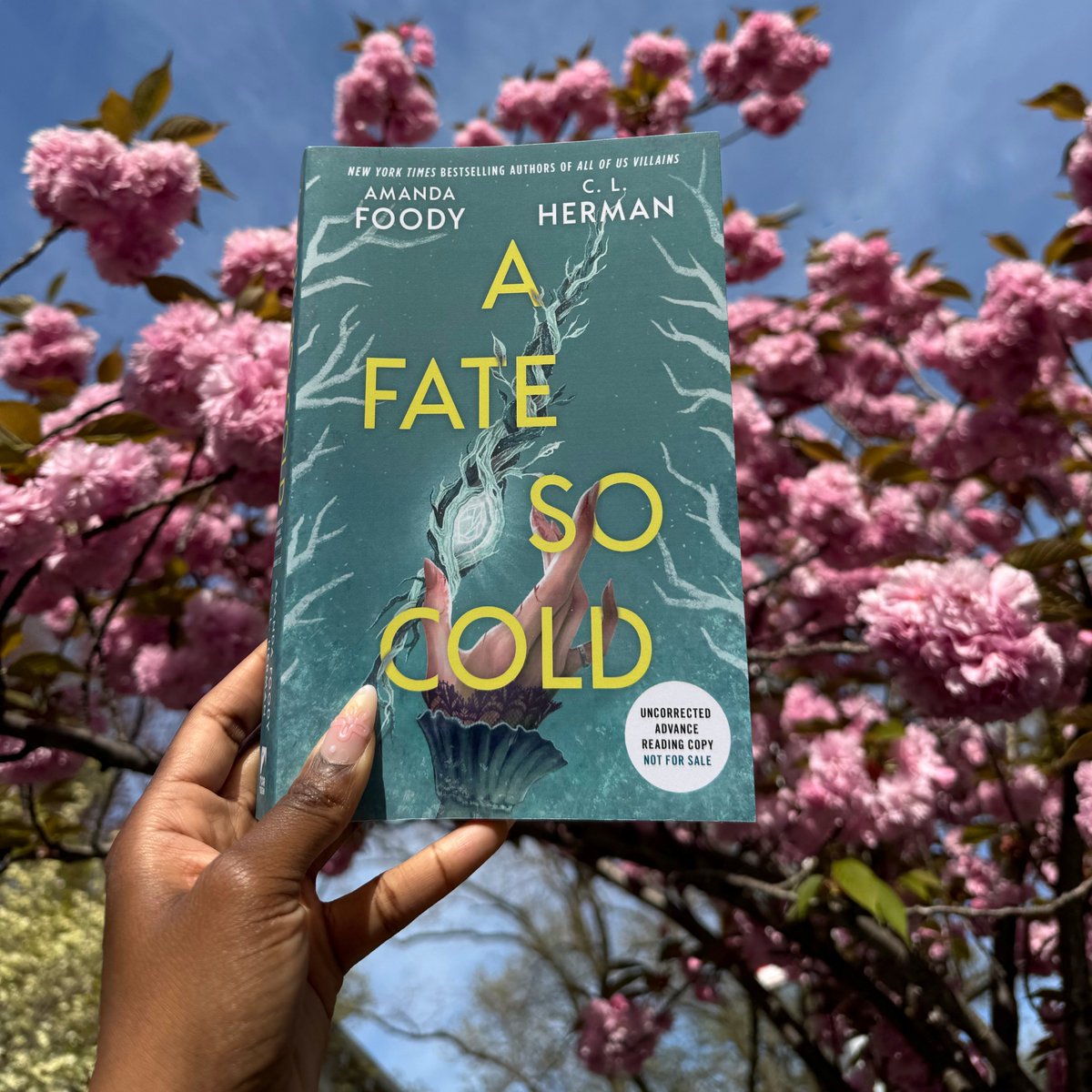 "Intricate, imaginative, and devastatingly romantic." – <a href="/afarolfollmuth/">Alexene Farol Follmuth</a> on A Fate So Cold by Amanda Foody &amp; C.L. Herman❄️🩵