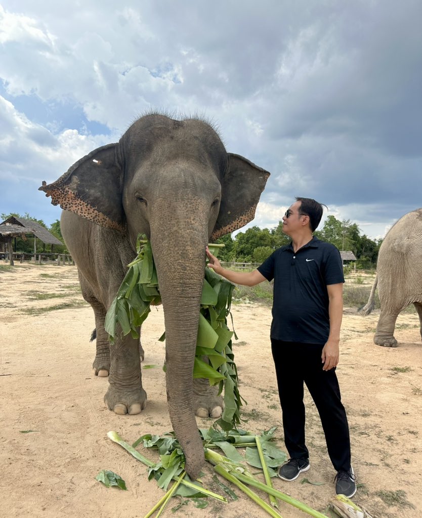 Koh ker temples and elephant sanctuary tours