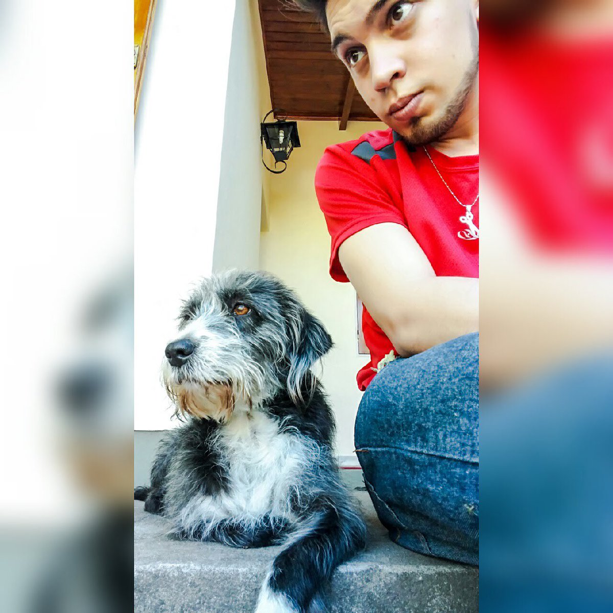 Leandro_RC's tweet photo. Hoy el amor de mi vida está descansando en paz. Tenía que estar descansando hace mucho tiempo pero sé que deseaba verme para darnos el último abrazo. A nadie le conté que mi plan era regresar en Abril, pero Portugal y su nefasto sistema me lo complicó. Te voy a extrañar, Bandy. https://t.co/qD9zUU4SS3