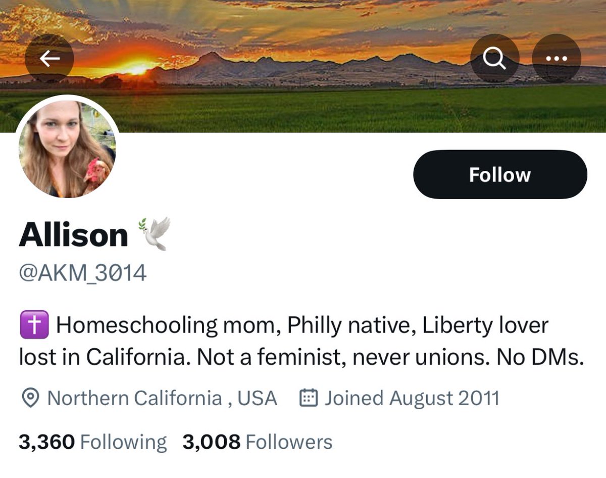 best example of the account type that the algorithm on here loves to push