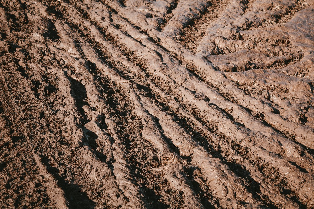 From "Our Town Becomes a Number" by Alice Haines, published alongside "March Mud Season Rap":

"8 fell while rolling 14-pound balls at 10
white pins. The deaf still weep for 4,
who were tossing 6-inch bags through
6-inch holes...."

Ph: Sean Foster, unsplash, CC 2.0.