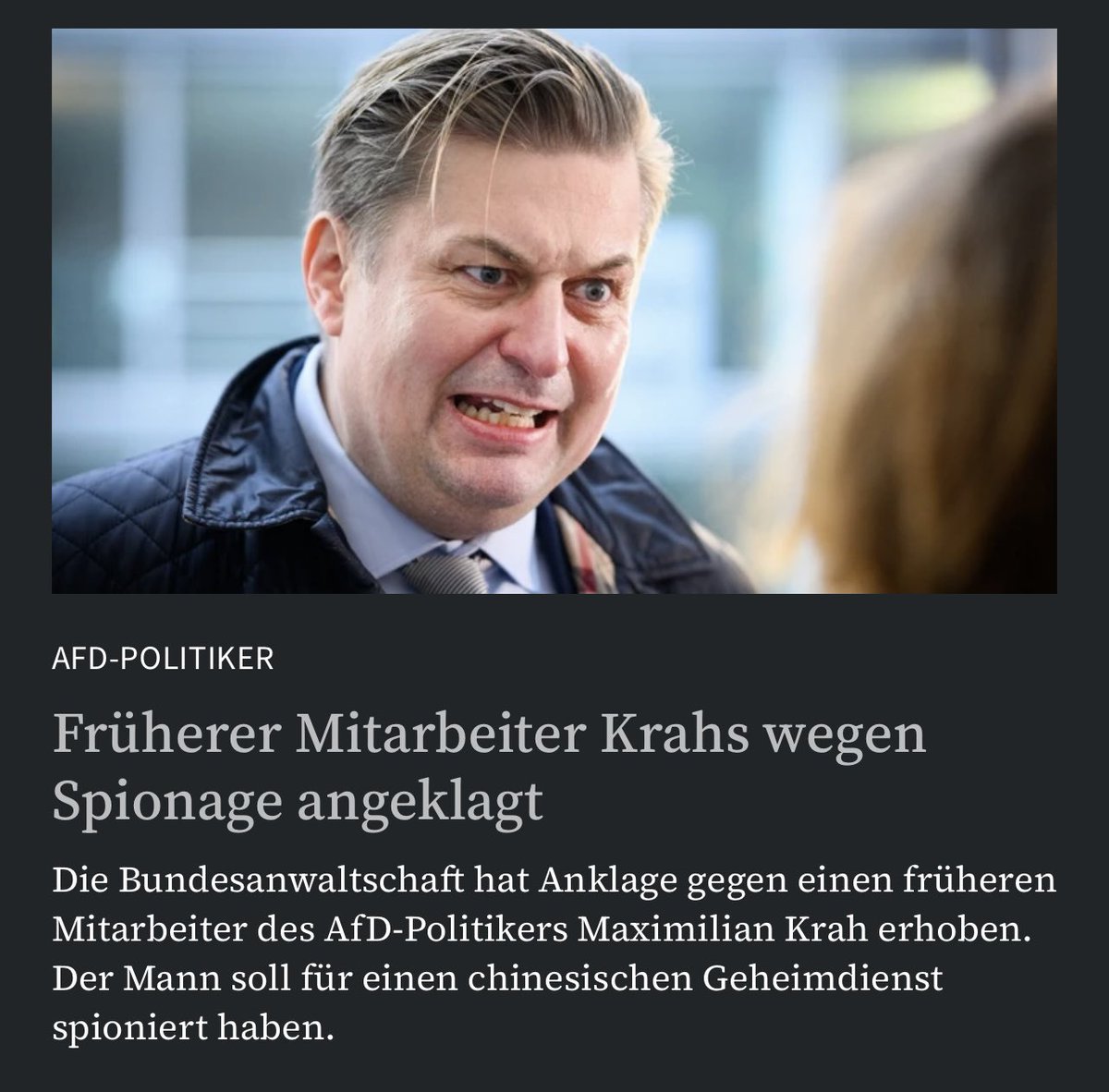 Natzis, Lügner, Betrüger, Spione… alles da in dieser Dreckspartei.🤮