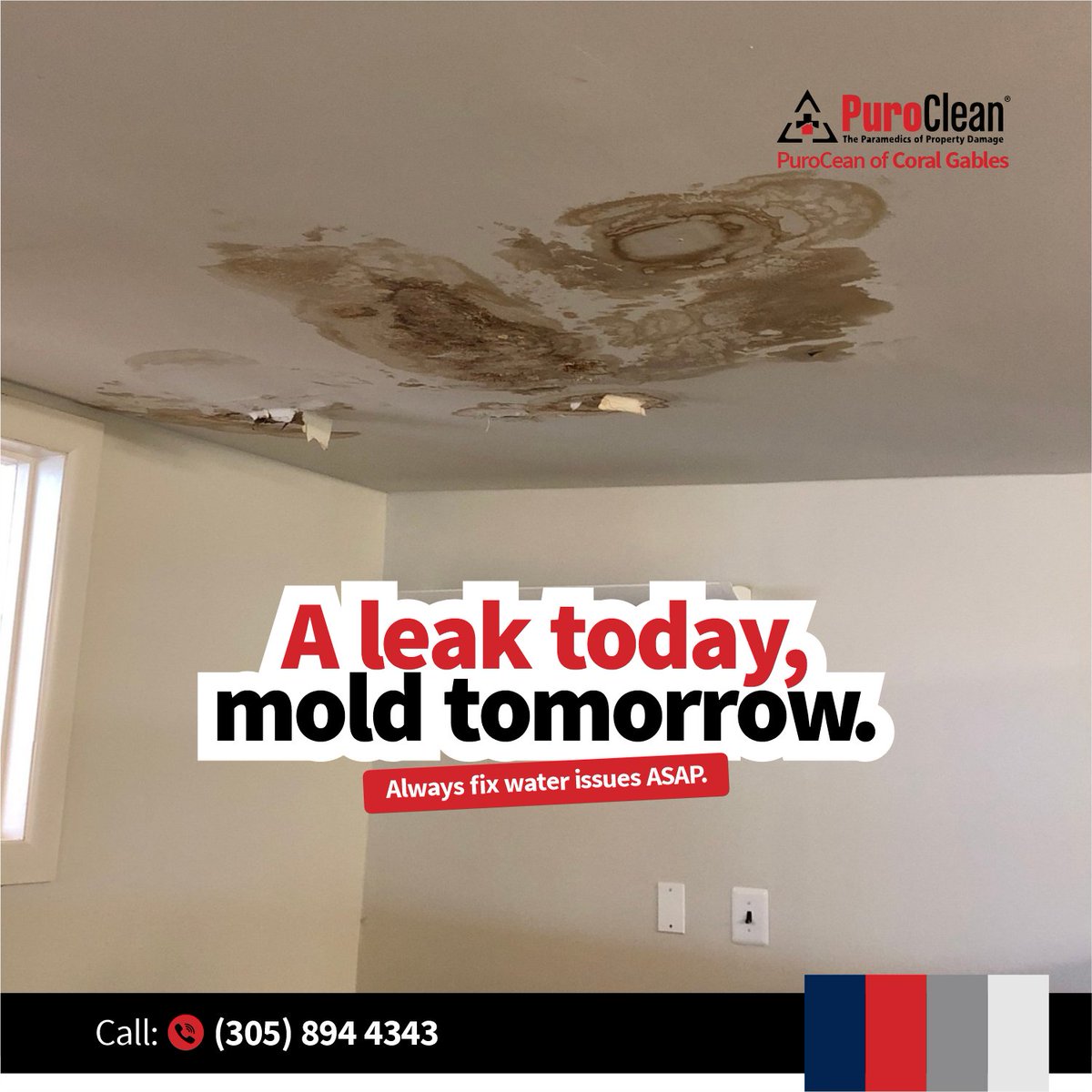 PuroCoralGables's tweet image. Did you know? Mold can start growing within just 24–48 hours after a water leak. 🚨 What may seem like a small issue today can quickly turn into a major health and property hazard.

Don’t wait for it to get worse—trust us to handle it!

#MoldRemediation #WaterDamageHelp