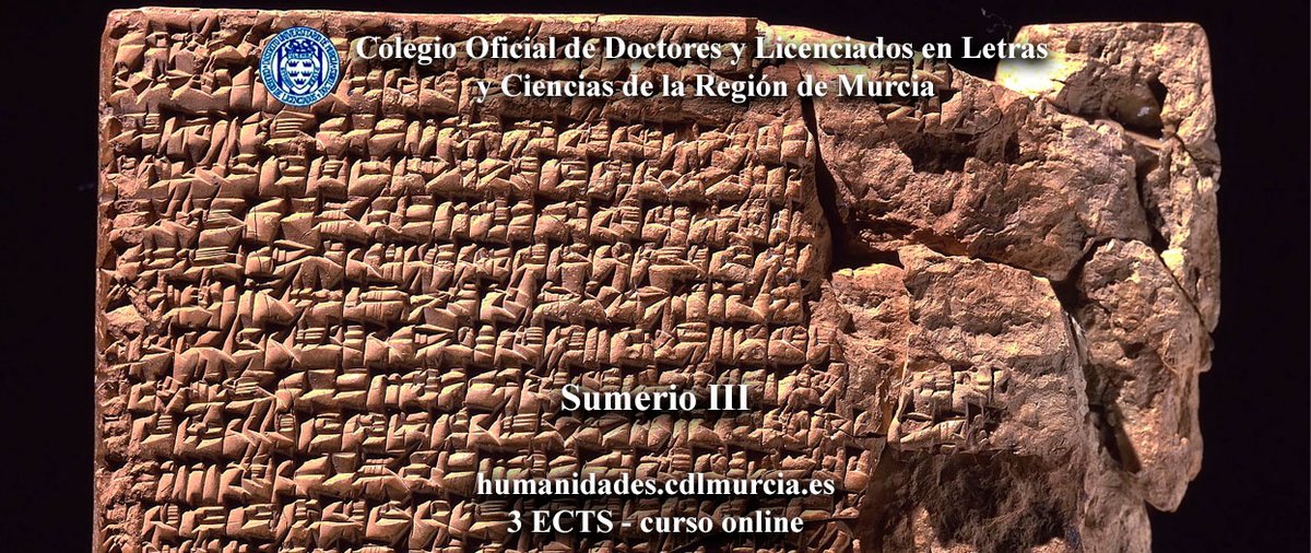 Sección de Arqueología Colegio Letras de Murcia tweet media