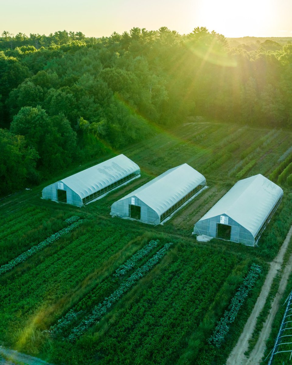 @siena_farms, a 50-acre family-owned farm just outside Boston, is bringing fresh, sustainably-grown veggies, mushrooms,
and flowers directly to New York–year-round!

Ue code EDIBLE10 for 10% off all NYC Farm Shares! Link in bio to learn more about @siena_farms
