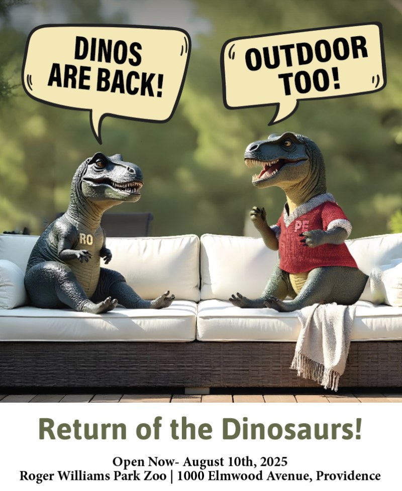 Cardi's Furniture & Mattresses (@nirope) on Twitter photo Dino's are BACK at the <a href="/RWPZoo/">Roger Williams Park Zoo</a> now through August 10th! Come face-to-face with nearly 60 life-size animatronic and interactive dinosaurs, including 25 NEW dinosaurs debuting this year! Brave the wilderness to uncover the secrets of the dinosaurs’ return! Witness towering Dino's are BACK at the <a href="/RWPZoo/">Roger Williams Park Zoo</a> now through August 10th! Come face-to-face with nearly 60 life-size animatronic and interactive dinosaurs, including 25 NEW dinosaurs debuting this year! Brave the wilderness to uncover the secrets of the dinosaurs’ return! Witness towering