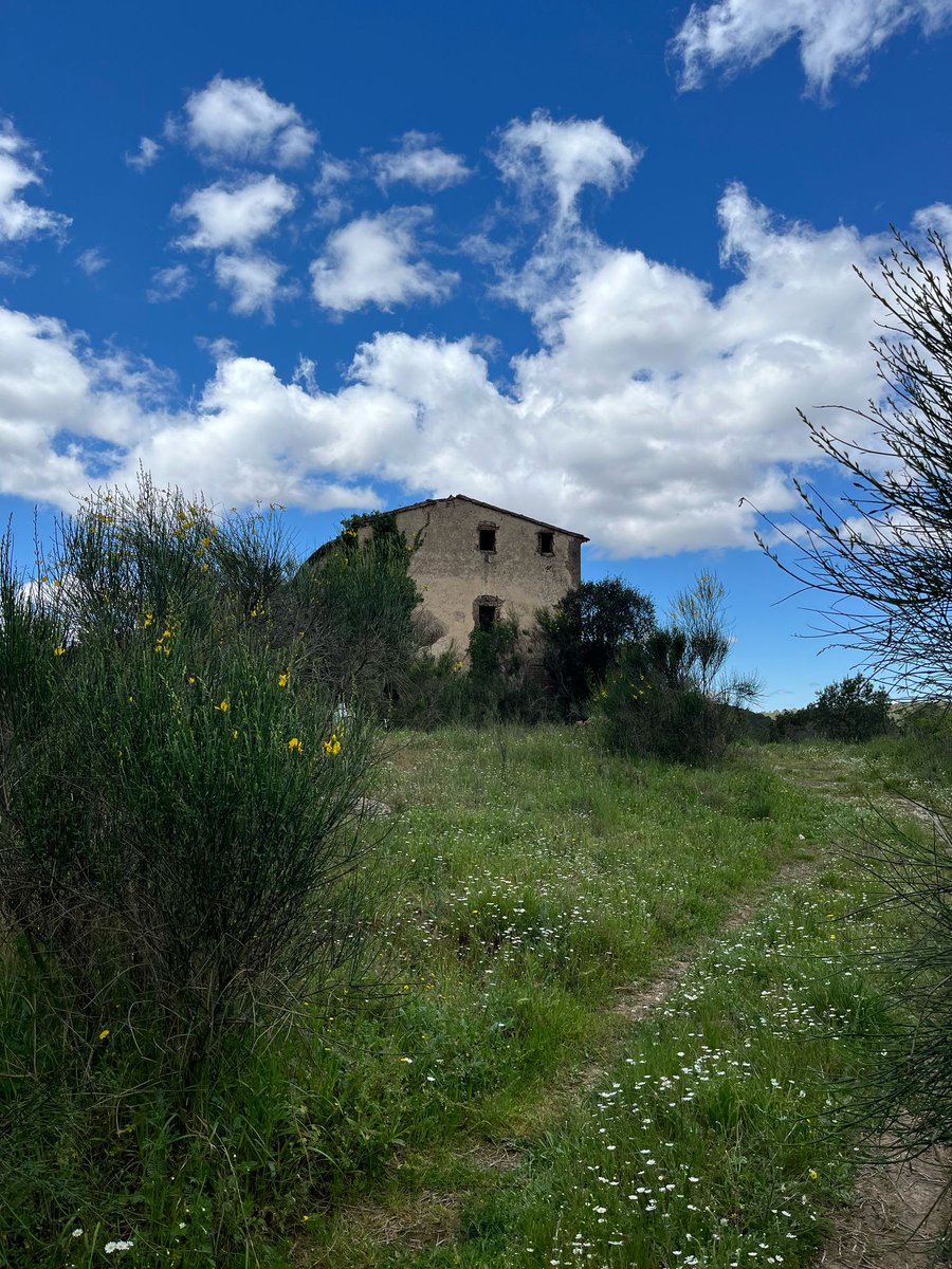 rdexcursionisme's tweet image. I diumenge, la primera excursió del trimestre! Una circular al castell i la Talaia del #Montmell, passant per les ermites de Sant Miquel, el pi de Tres Branques i el mas Torrossolla.

#100cims
#FEEC
#sommuntanya
#ForçaReus
@ReusDeportiu 

📸 À. Espinosa, E. Soler, J. Verdiell