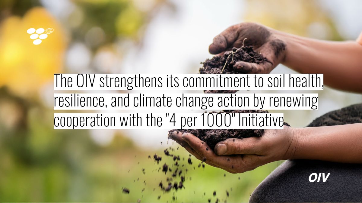 OIV_int's tweet photo. OIV renews its MoU with the "4 per 1000" Initiative at #ChangeNOW!
Focus: soil health, carbon sequestration & sustainable viticulture.
Learn more here: https://t.co/qhH0PRW5ZD
#soilhealth #climateaction #sustainability #vineandwine #4per1000 #changenow #agroecology #winesector https://t.co/vvX2bjpYqS