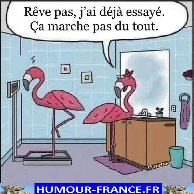 text alternatif