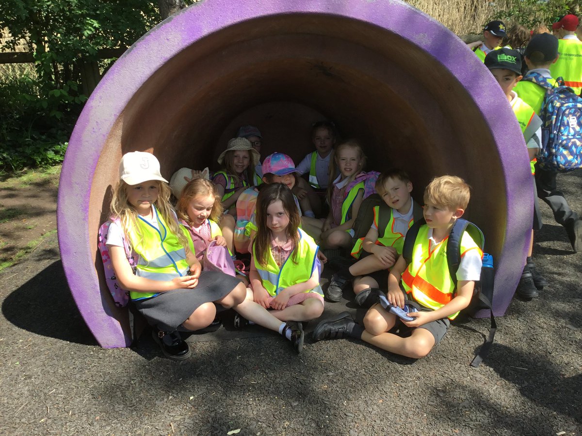 Year 2 SHPS tweet media
