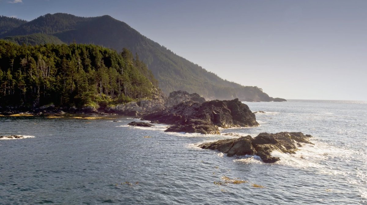 CFNGBI's tweet image. #JobAlert Are you looking for a great opportunity to advance the #MarineProtectedAreas Network in the #GreatBearSea? CFN is hiring a Communications & Engagement Coordinator to support this initiative. Full details: coastalfirstnations.ca/wp-content/upl…