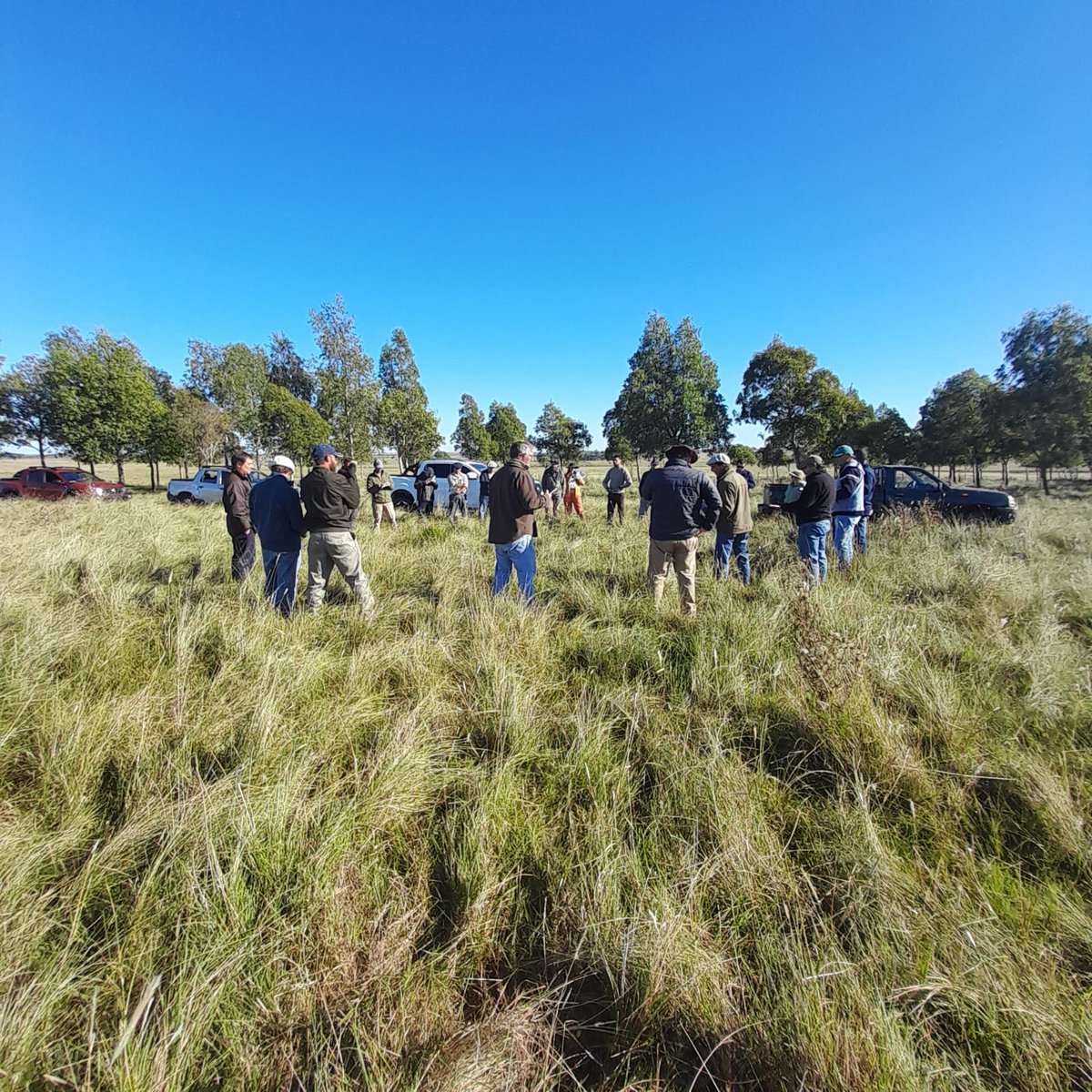 Plan Agropecuario tweet media