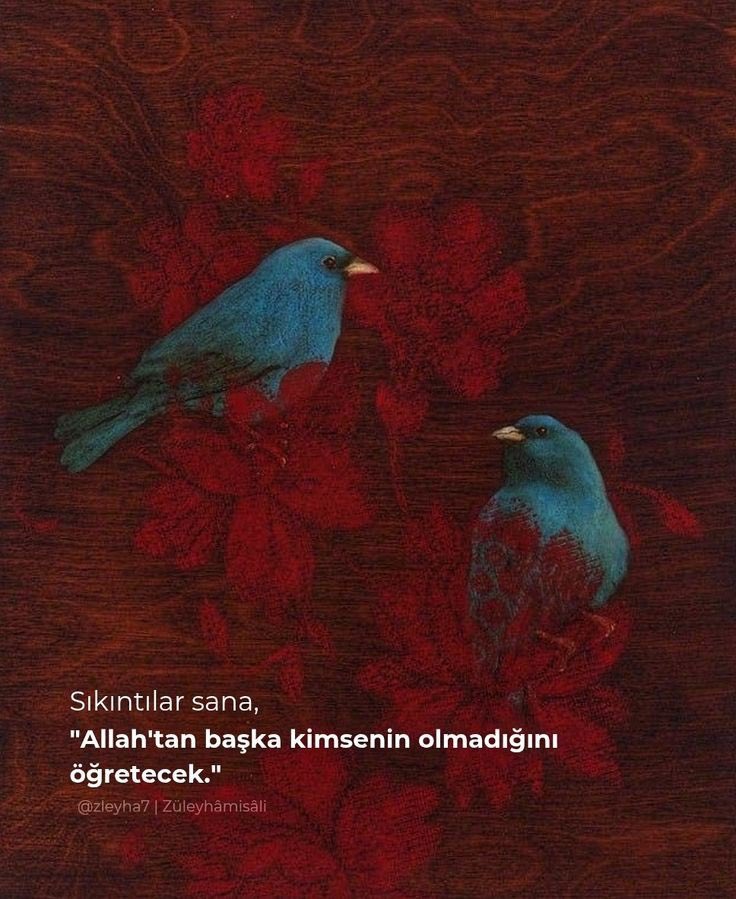 Sıkıntılar sana, Allah'tan başka kimsenin olmadığını öğretecek.