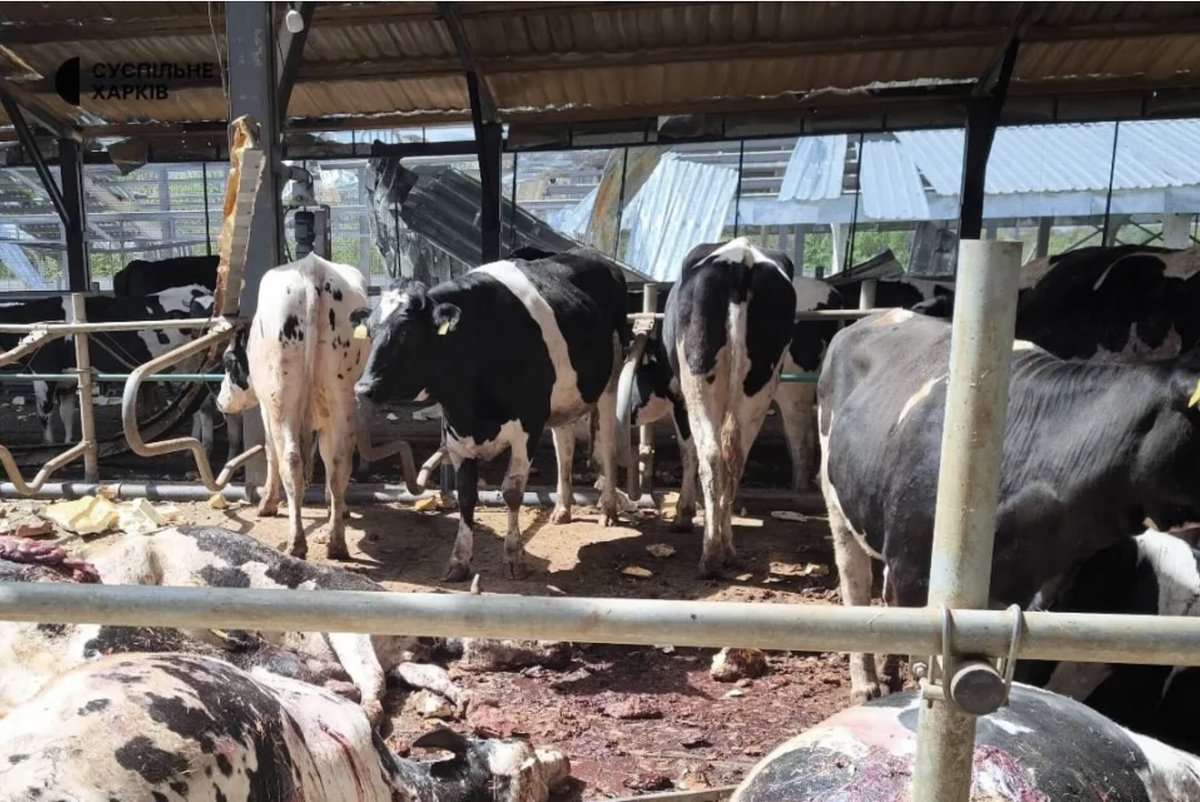 After announcing a US $500 million expansion in Twin Falls, Idaho recently, US yogurt giant Chobani broke ground on a new, $1.2 billion plant in Rome, New York.

Continue reading here: bit.ly/3YTRXZL 

#dairy #Ukraine #EU #dairyindustry #economy #business #news