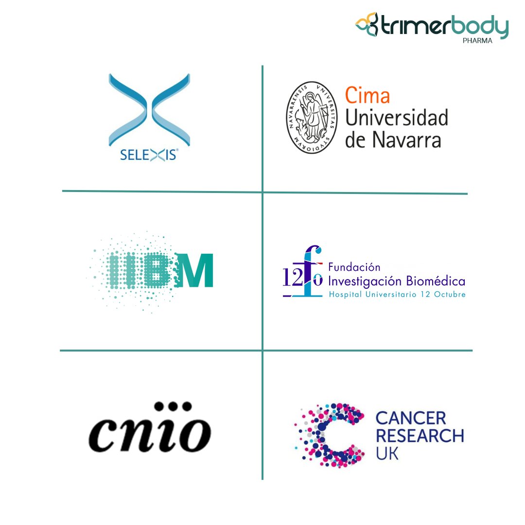 TrimerbodyPh's tweet image. In Trimerbody Pharma, we believe in the power of collaboration to drive innovation. 🌍💡
We work alongside leading research centers and universities to develop breakthrough therapies that make a difference. 🚀🔬