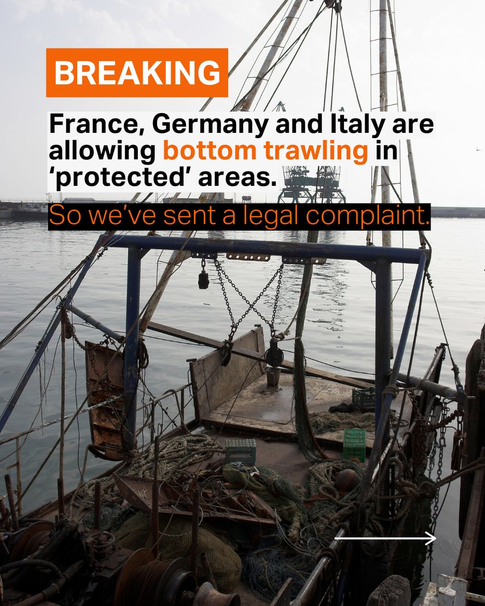 ClientEarth (@clientearth) on Twitter photo 📣 France, Germany and Italy are failing to protect vulnerable marine ecosystems, in violation of EU law. Today, we’ve filed a legal complaint with our partners Environmental Justice Foundation
<a href="/Bluemarinef/">Blue Marine Foundation</a> <a href="/DMA_ONG/">Défense des Milieux Aquatiques</a> and <a href="/Umwelthilfe/">Deutsche Umwelthilfe</a> to <a href="/EU_Commission/">European Commission</a> 📣 France, Germany and Italy are failing to protect vulnerable marine ecosystems, in violation of EU law. Today, we’ve filed a legal complaint with our partners Environmental Justice Foundation
<a href="/Bluemarinef/">Blue Marine Foundation</a> <a href="/DMA_ONG/">Défense des Milieux Aquatiques</a> and <a href="/Umwelthilfe/">Deutsche Umwelthilfe</a> to <a href="/EU_Commission/">European Commission</a>