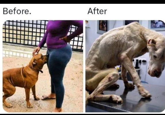 It doesn't matter what Minnie Dlamini done, but MacG is wrong for talking about her like this 😒😒😒😒

Condolences Gorilla