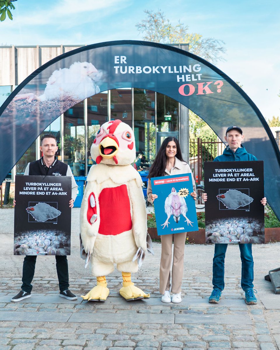 Vi deltog i et medlemsmøde hos Coop i Danmark, hvor de fortalte om bæredygtighed. Her mindede vi dem om noget vigtigt:

👉 Turbokyllinger hører ikke hjemme i en ansvarlig virksomhed. 🐤 

 #dyrevelfærd #turbokylling #Coop #udfasning #dyrenesstemme #detrigtigestedatforbedre