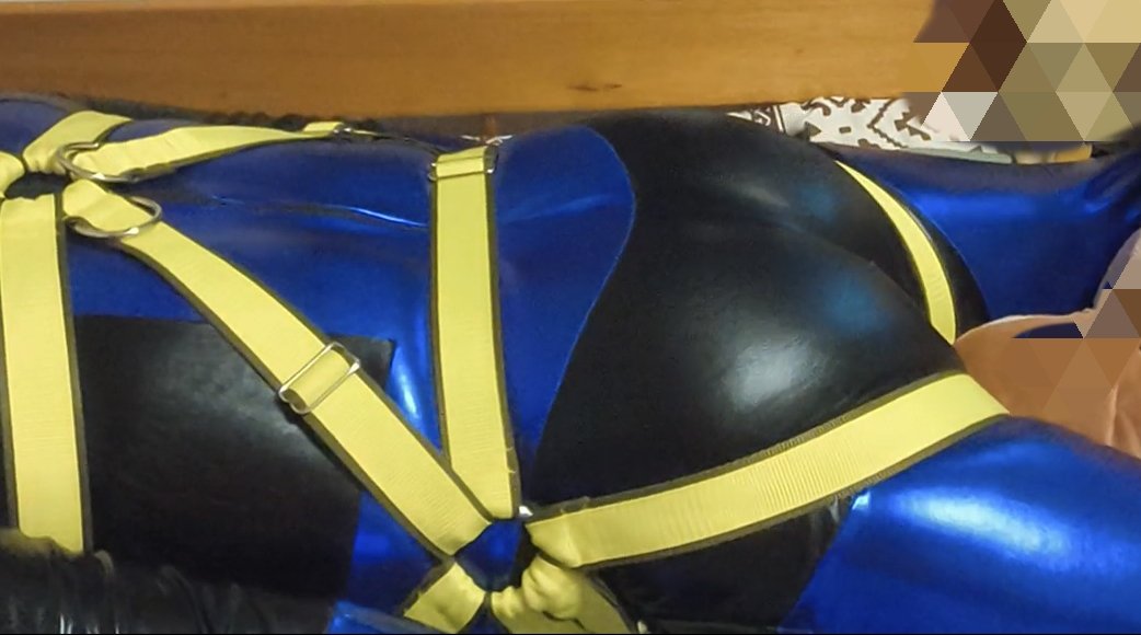 ハム野郎はポーズを模索しました
結果:お股周りが筋肉痛になりました
あ　ほ　く　さ